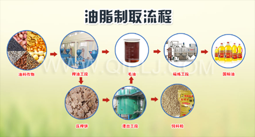 菜籽油压榨及精炼成套设备(图5)